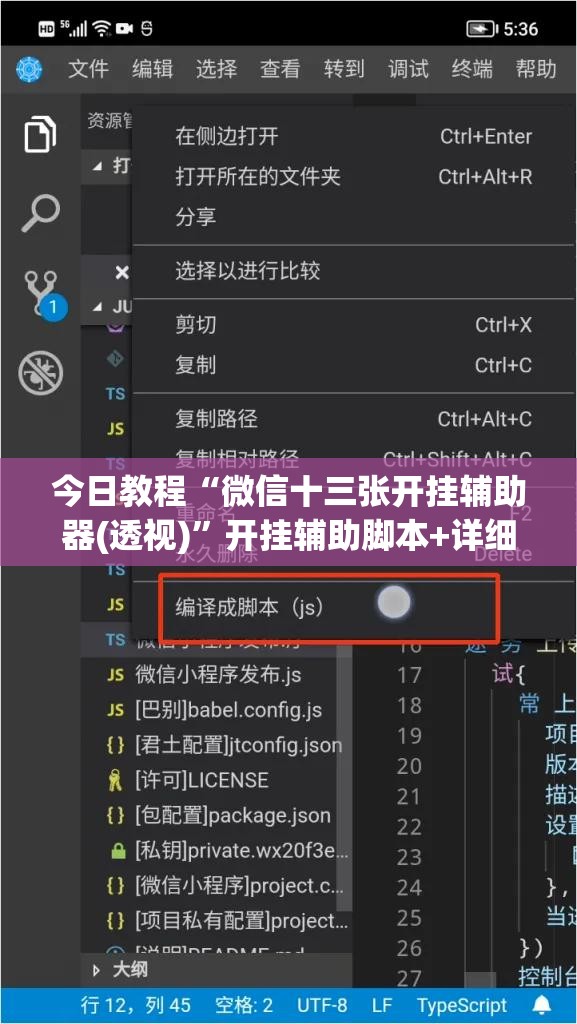 今日教程“微信十三张开挂辅助器(透视)”开挂辅助脚本+详细开挂安装教程