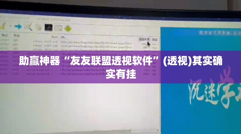 助赢神器“友友联盟透视软件	”(透视)其实确实有挂