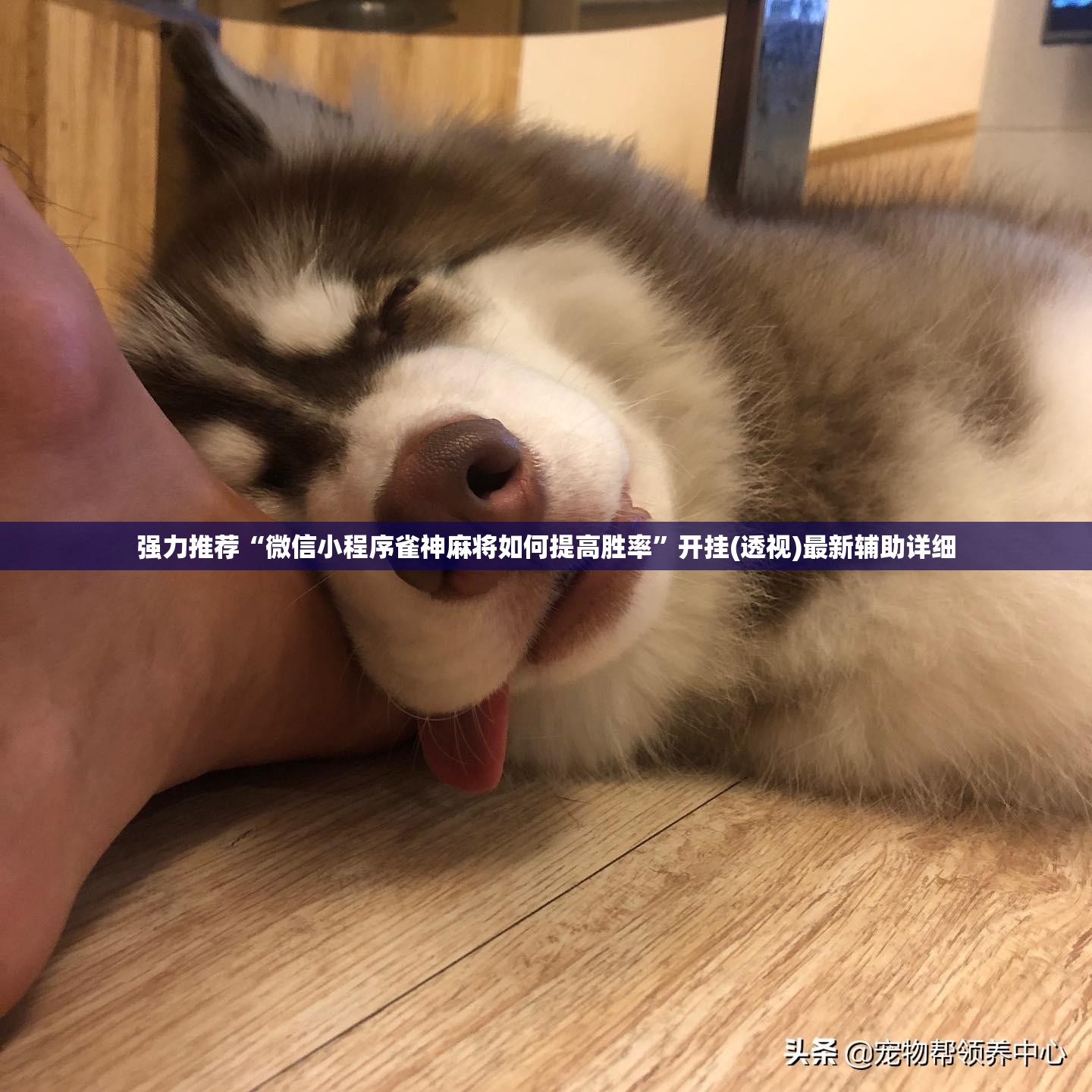 强力推荐“微信小程序雀神麻将如何提高胜率”开挂(透视)最新辅助详细
