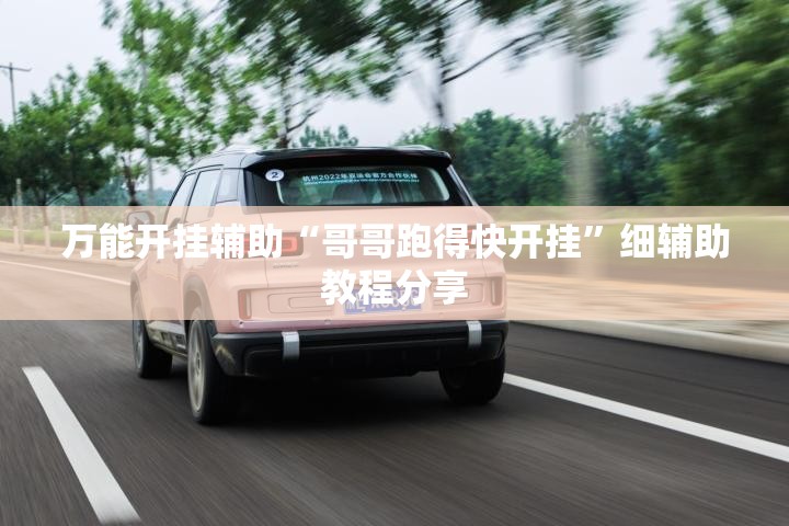 万能开挂辅助“哥哥跑得快开挂”细辅助教程分享