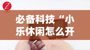 必备科技“小乐休闲怎么开挂”科技辅助神器手机版