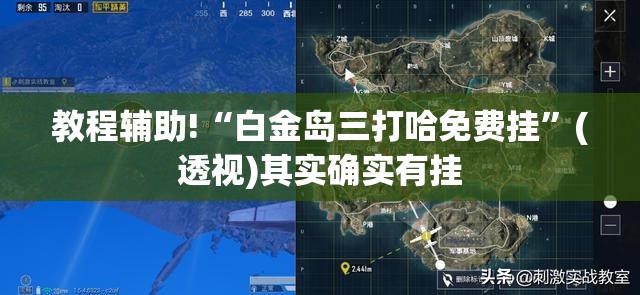 教程辅助!“白金岛三打哈免费挂”(透视)其实确实有挂
