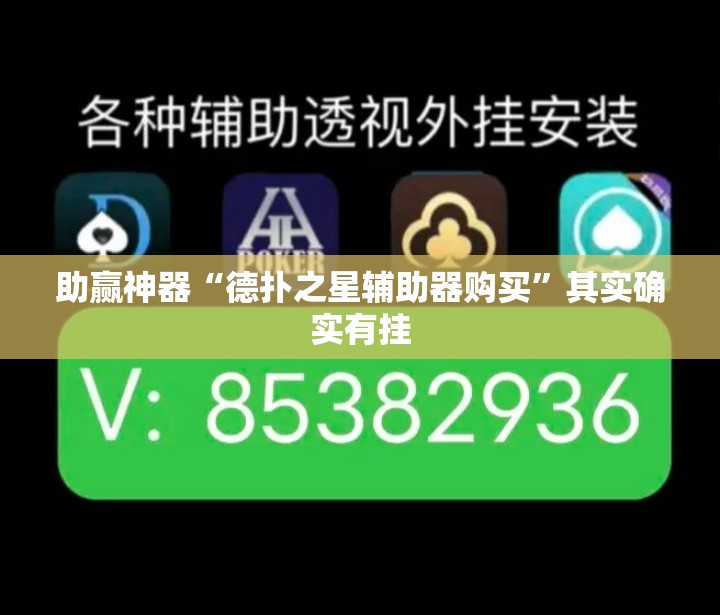 助赢神器“德扑之星辅助器购买”其实确实有挂