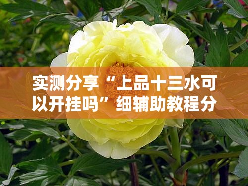 实测分享“上品十三水可以开挂吗”细辅助教程分享