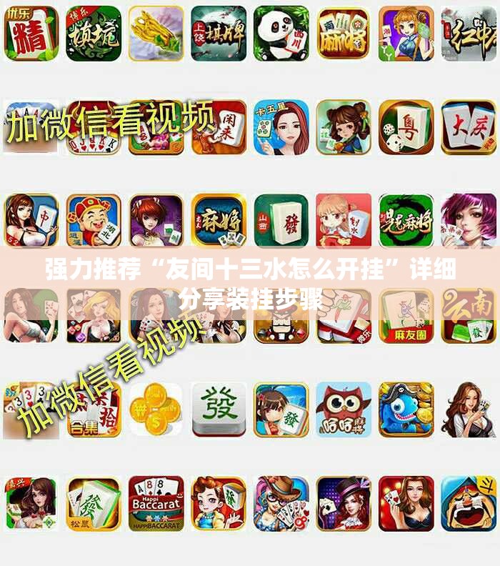 强力推荐“友间十三水怎么开挂	”详细分享装挂步骤