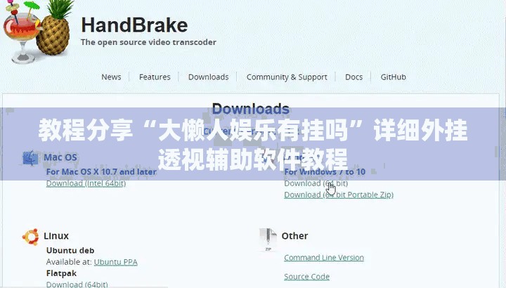 教程分享“大懒人娱乐有挂吗”详细外挂透视辅助软件教程