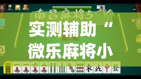 实测辅助“微乐麻将小程序挂”(透视挂)辅助下载教程