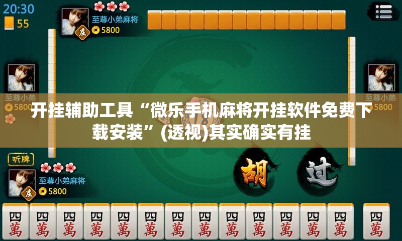 开挂辅助工具“微乐手机麻将开挂软件免费下载安装”(透视)其实确实有挂