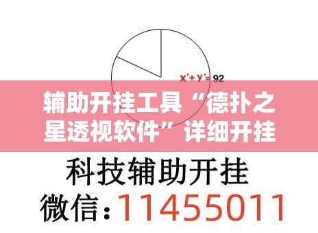 辅助开挂工具“德扑之星透视软件”详细开挂教程