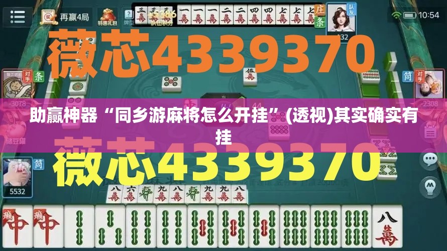 助赢神器“同乡游麻将怎么开挂	”(透视)其实确实有挂