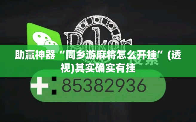 助赢神器“同乡游麻将怎么开挂”(透视)其实确实有挂