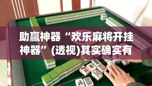 助赢神器“欢乐麻将开挂神器”(透视)其实确实有挂