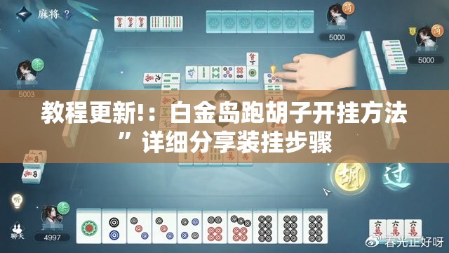 教程更新!：白金岛跑胡子开挂方法”详细分享装挂步骤