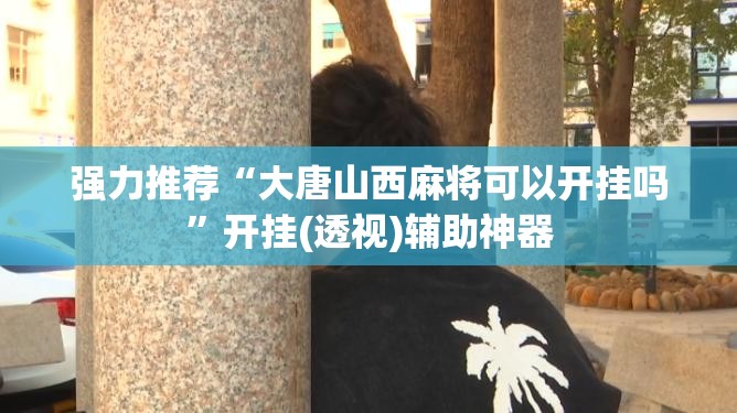 强力推荐“大唐山西麻将可以开挂吗”开挂(透视)辅助神器