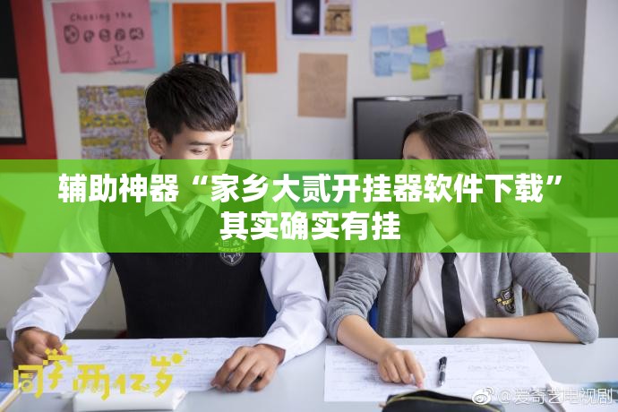 辅助神器“家乡大贰开挂器软件下载	”其实确实有挂