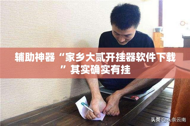 辅助神器“家乡大贰开挂器软件下载”其实确实有挂