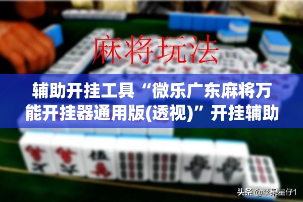 辅助开挂工具“微乐广东麻将万能开挂器通用版(透视)	”开挂辅助脚本+详细开挂安装教程