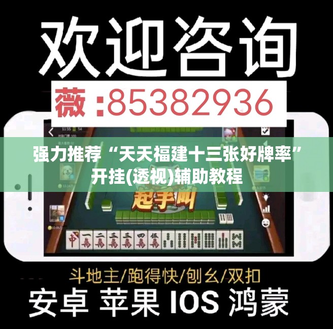 强力推荐“天天福建十三张好牌率”开挂(透视)辅助教程