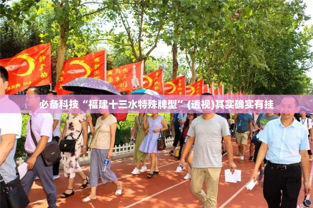 必备科技“福建十三水特殊牌型”(透视)其实确实有挂