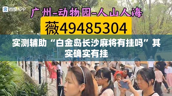 实测辅助“白金岛长沙麻将有挂吗	”其实确实有挂