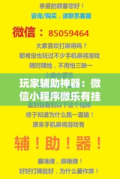 玩家辅助神器：微信小程序微乐有挂吗(透视)”开挂辅助脚本+详细开挂安装教程