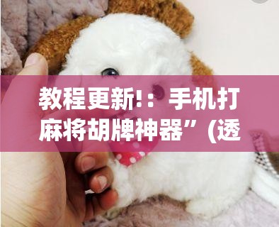 教程更新!：手机打麻将胡牌神器”(透视挂)辅助下载教程