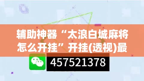 辅助神器“太浪白城麻将怎么开挂”开挂(透视)最新辅助详细