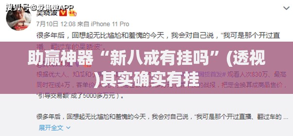 助赢神器“新八戒有挂吗”(透视)其实确实有挂