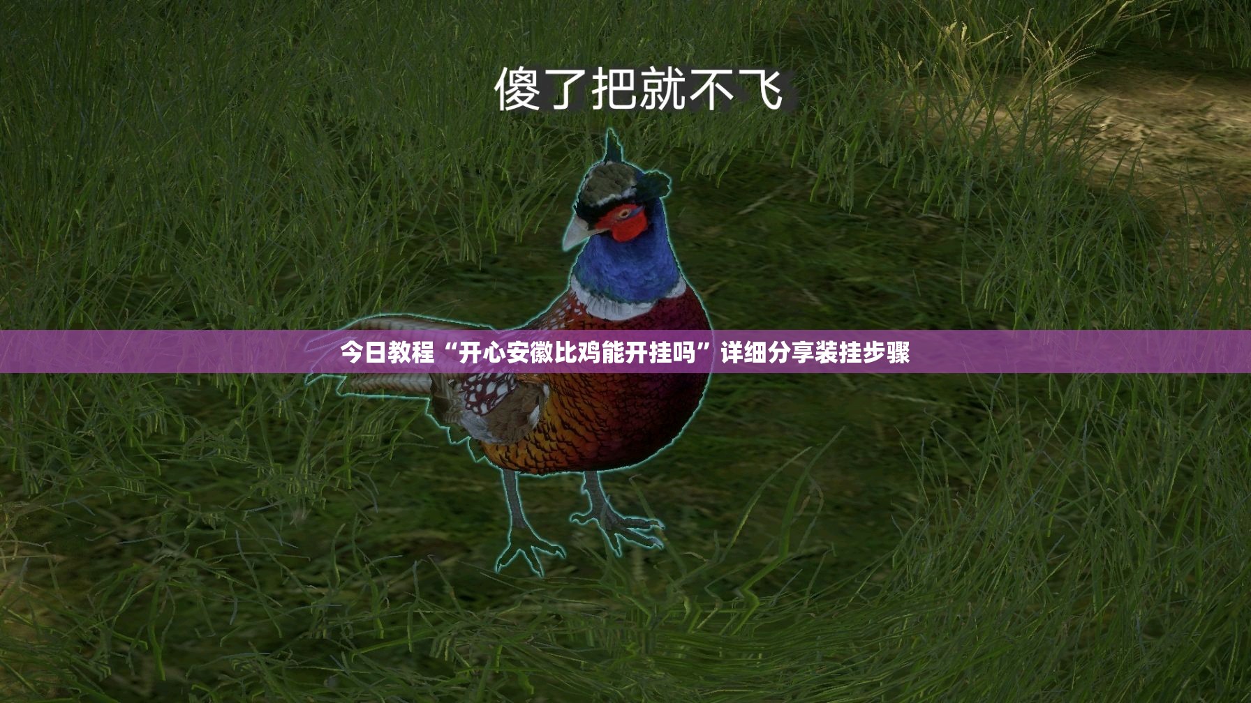 今日教程“开心安徽比鸡能开挂吗”详细分享装挂步骤