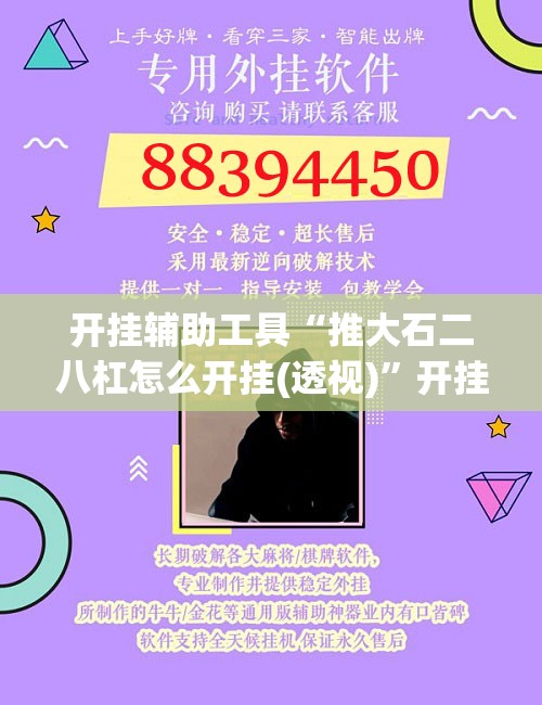开挂辅助工具“推大石二八杠怎么开挂(透视)	”开挂辅助脚本+详细开挂安装教程