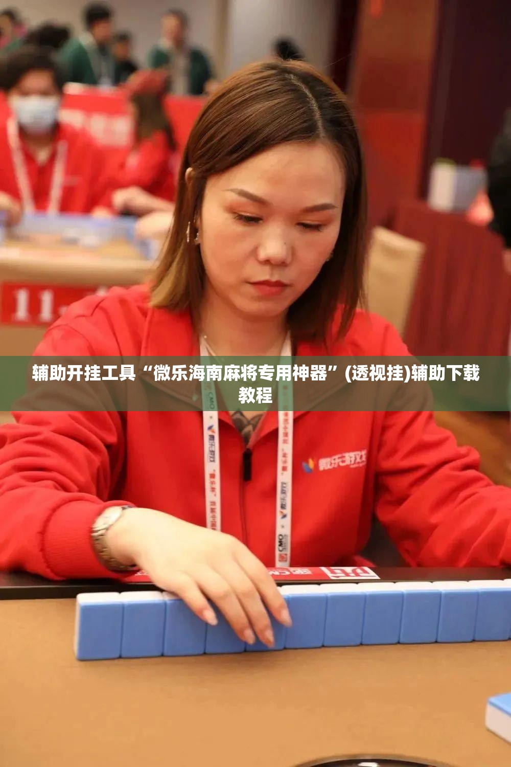 辅助开挂工具“微乐海南麻将专用神器	”(透视挂)辅助下载教程