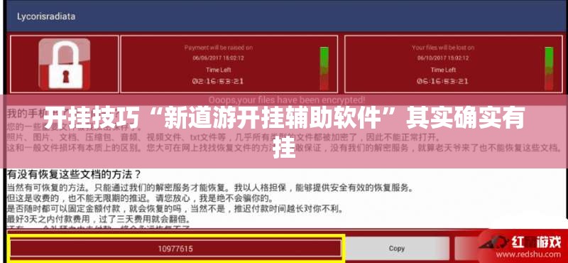 开挂技巧“新道游开挂辅助软件	”其实确实有挂
