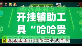 开挂辅助工具“哈哈贵阳麻将有挂吗(透视)”开挂辅助脚本+详细开挂安装教程