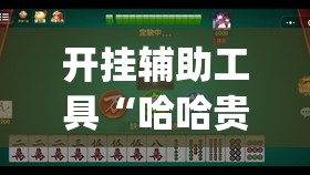 开挂辅助工具“哈哈贵阳麻将有挂吗(透视)	”开挂辅助脚本+详细开挂安装教程