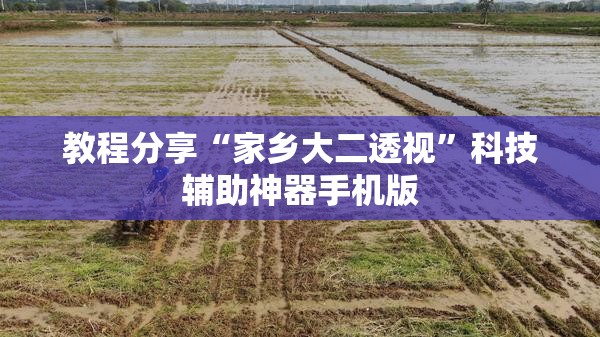 教程分享“家乡大二透视	”科技辅助神器手机版
