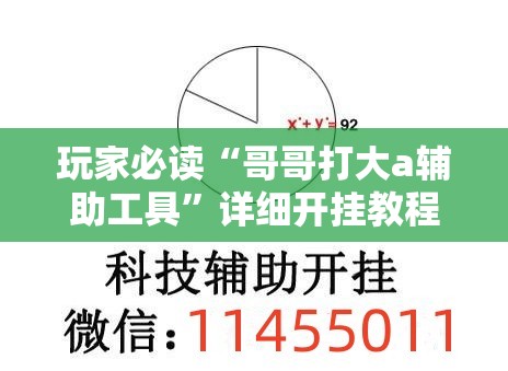 玩家必读“哥哥打大a辅助工具	”详细开挂教程