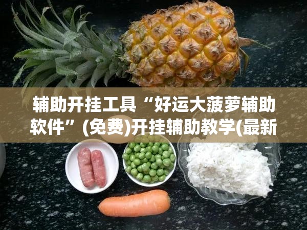 辅助开挂工具“好运大菠萝辅助软件	”(免费)开挂辅助教学(最新辅助开挂教程)