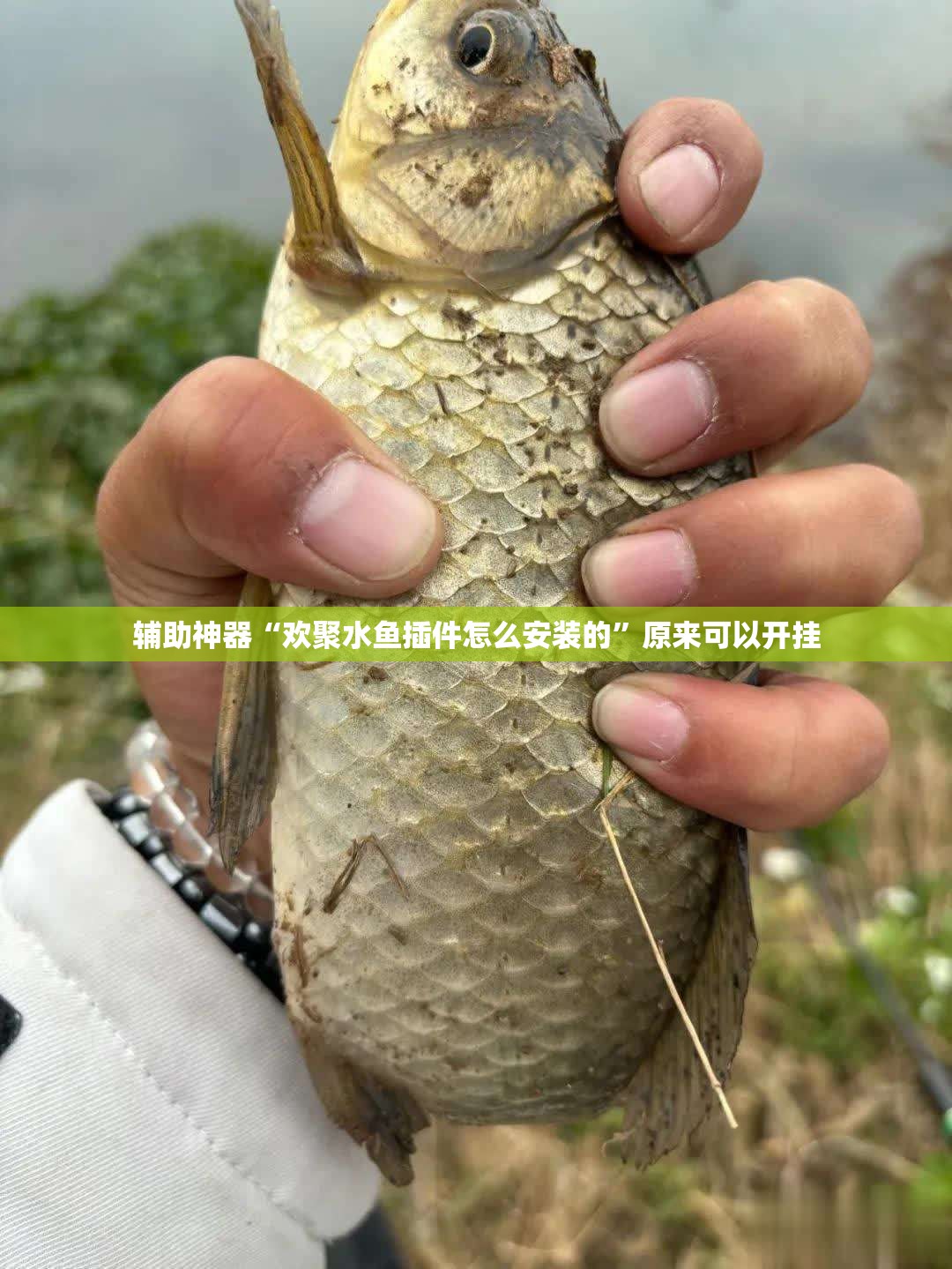 辅助神器“欢聚水鱼插件怎么安装的”原来可以开挂