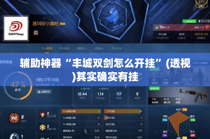 辅助神器“丰城双剑怎么开挂”(透视)其实确实有挂