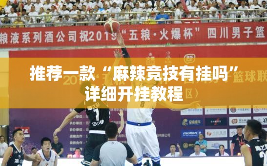 推荐一款“麻辣竞技有挂吗	”详细开挂教程