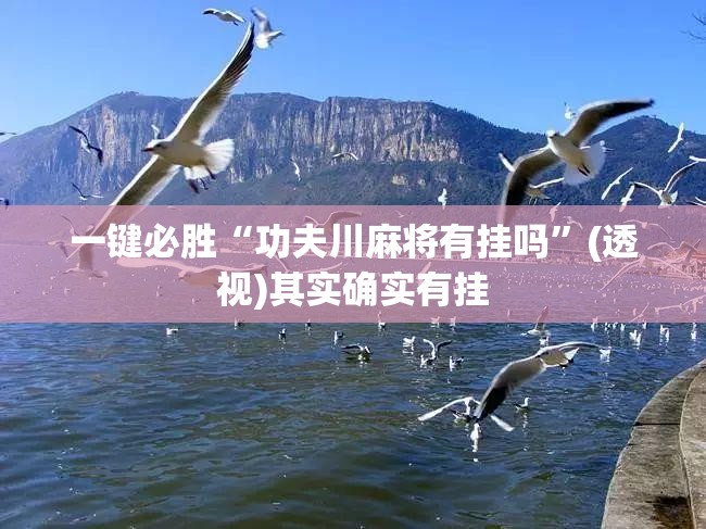 一键必胜“功夫川麻将有挂吗”(透视)其实确实有挂