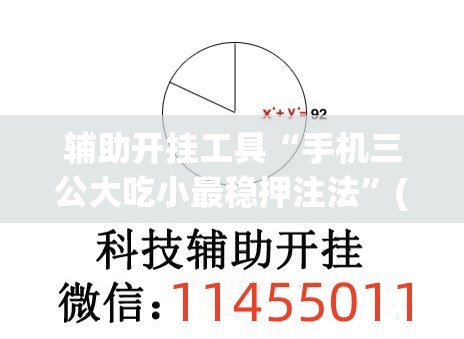 辅助开挂工具“手机三公大吃小最稳押注法”(透视挂)辅助下载教程