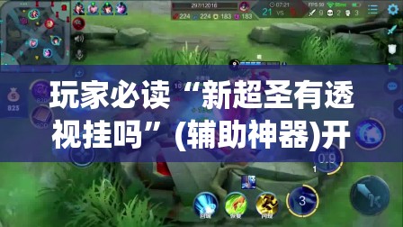 玩家必读“新超圣有透视挂吗”(辅助神器)开挂详细教程