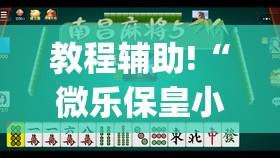 教程辅助!“微乐保皇小程序怎么抓好牌(透视)”开挂辅助脚本+详细开挂安装教程