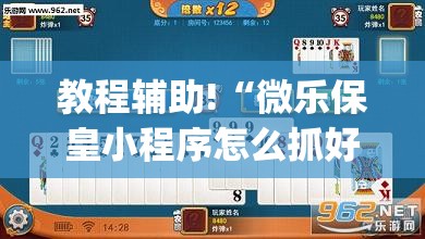 教程辅助!“微乐保皇小程序怎么抓好牌(透视)”开挂辅助脚本+详细开挂安装教程