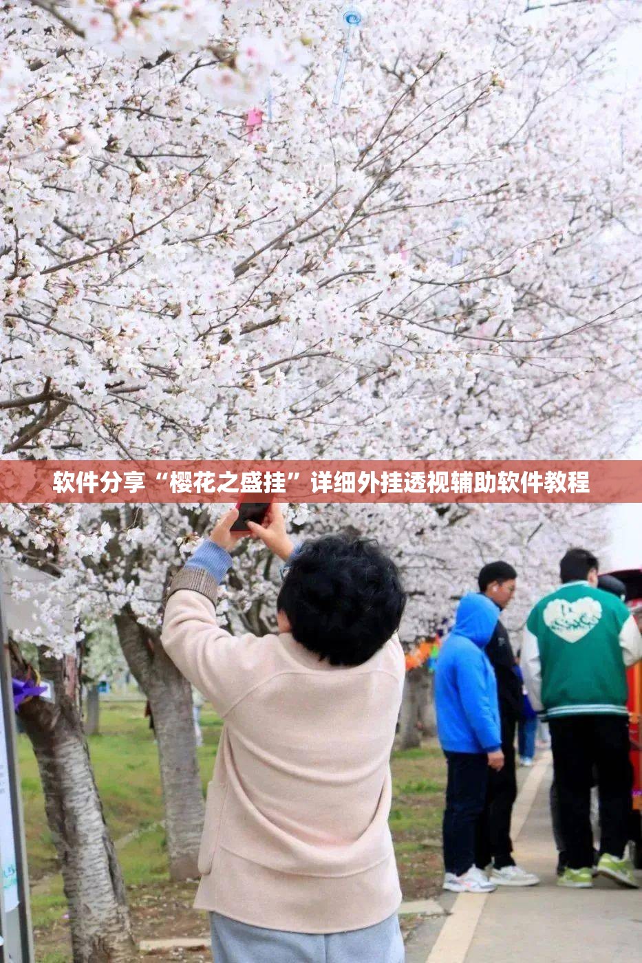软件分享“樱花之盛挂	”详细外挂透视辅助软件教程