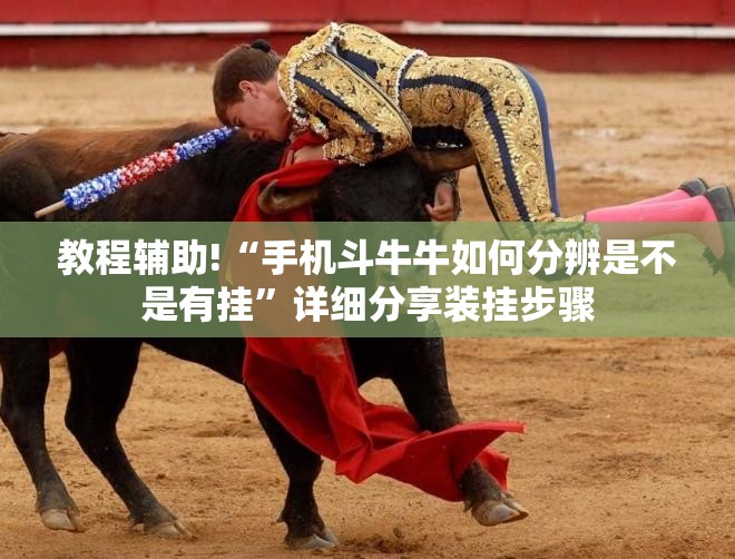 教程辅助!“手机斗牛牛如何分辨是不是有挂”详细分享装挂步骤