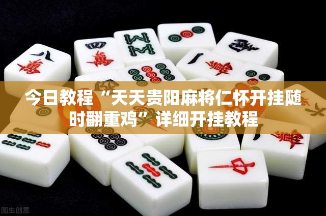 今日教程“天天贵阳麻将仁怀开挂随时翻重鸡”详细开挂教程