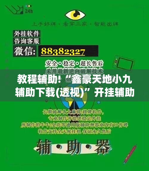 教程辅助!“鑫豪天地小九辅助下载(透视)”开挂辅助脚本+详细开挂安装教程