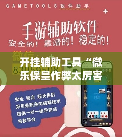 开挂辅助工具“微乐保皇作弊太厉害(透视)”开挂辅助脚本+详细开挂安装教程